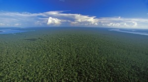 foresta-amazzonica-585x326